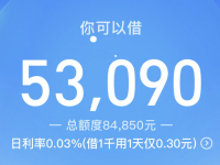 2024无视黑白秒过的网贷有哪些？盘点5个无视黑白秒下款的口子